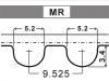 Steuerriemen Timing Belt:CAM9006